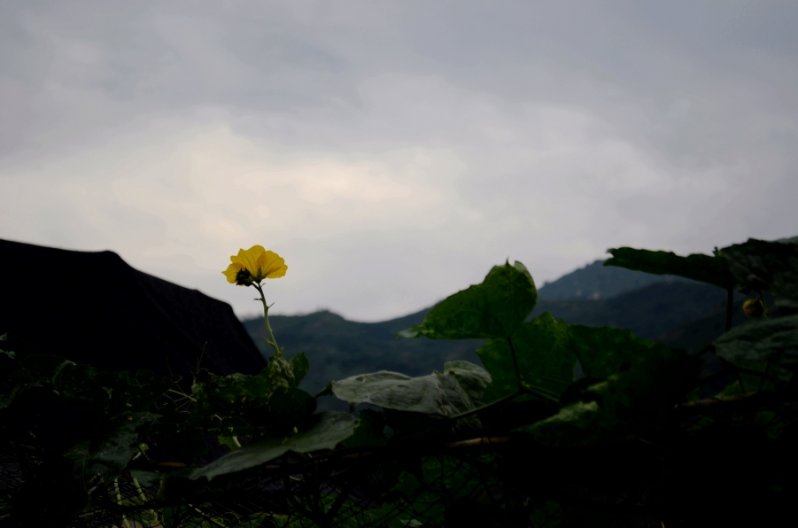 DSC_3333.JPG
