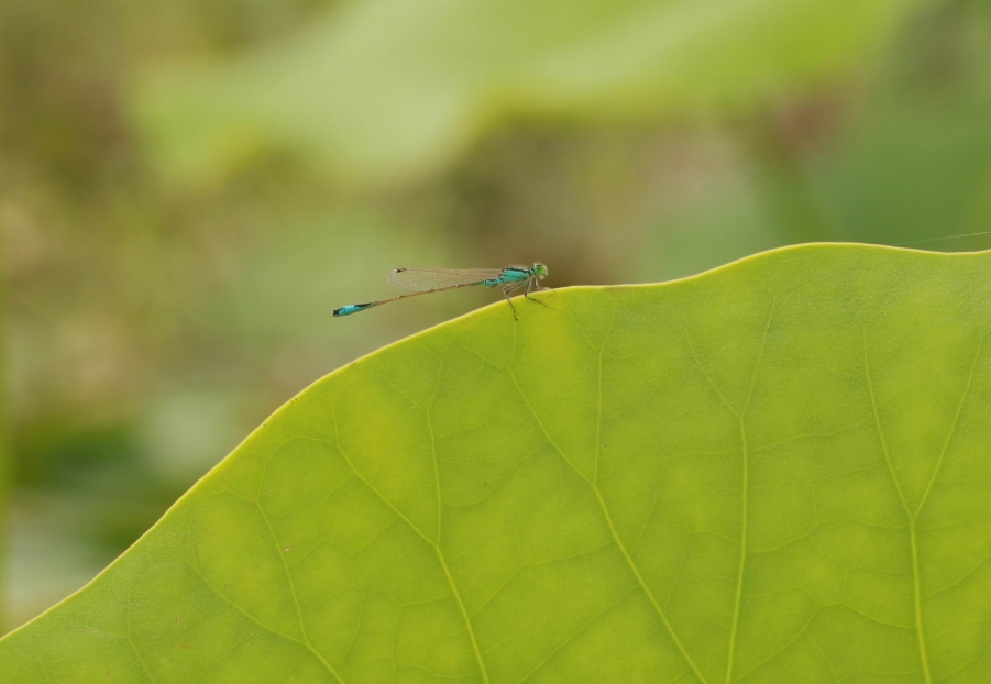 调整大小 IMG_9693.jpg