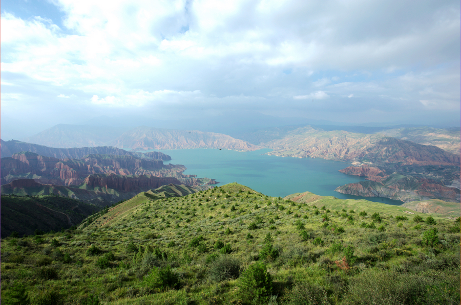DSC_4816.jpg