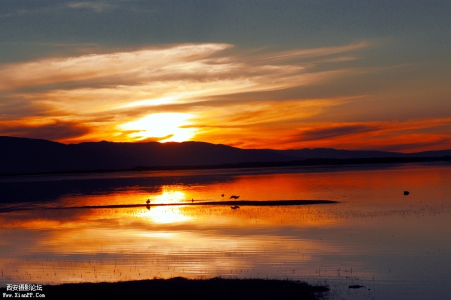 青海湖夕阳1-0.jpg