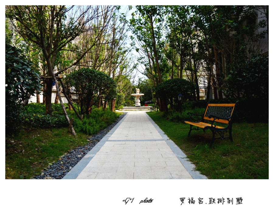 DSC_0012_副本.jpg