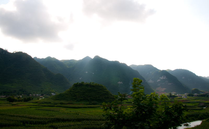 DSC_3407.jpg