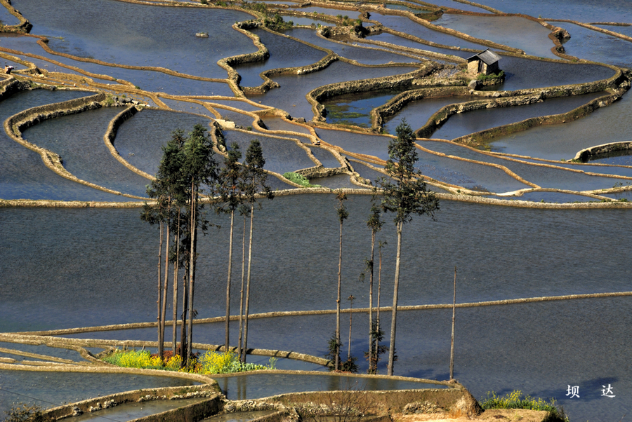 坝达5.jpg