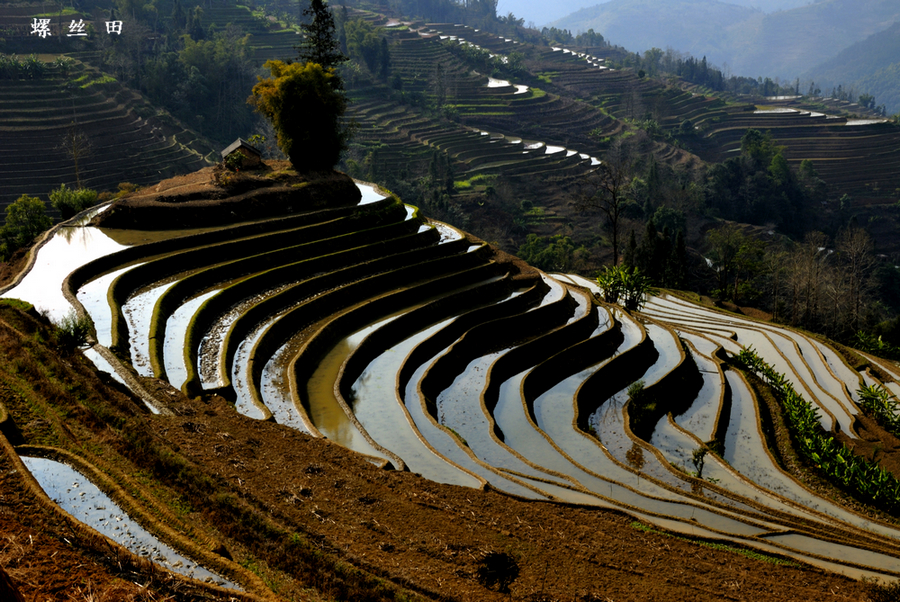 螺丝田1.jpg