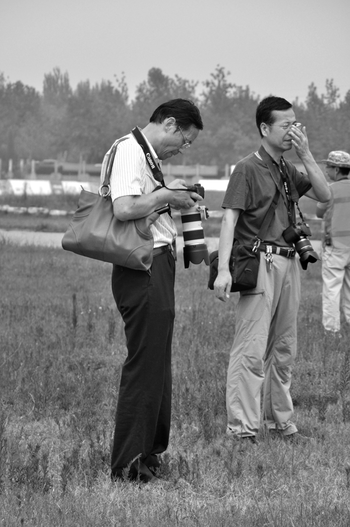 看看。。。。。。