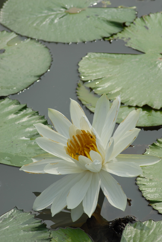 2006-8-5-6摄于长沙 274.jpg