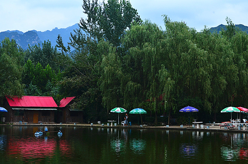 照片 007_副本.jpg