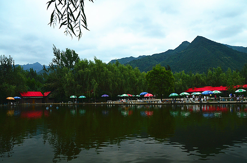 照片 019_副本.jpg