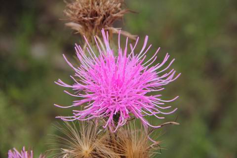 调整大小 IMG_0786.JPG