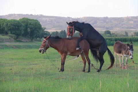 调整大小 IMG_0918.JPG