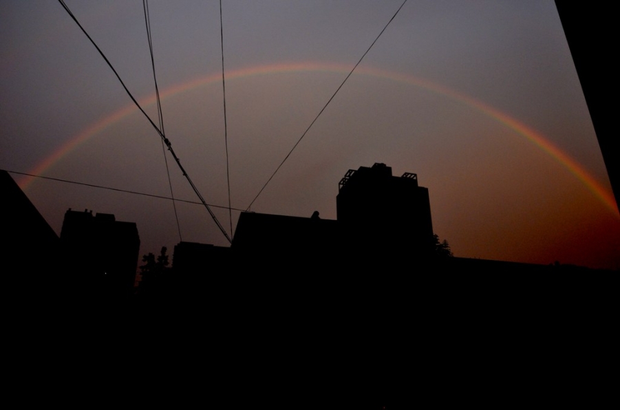 DSC_8499.JPG