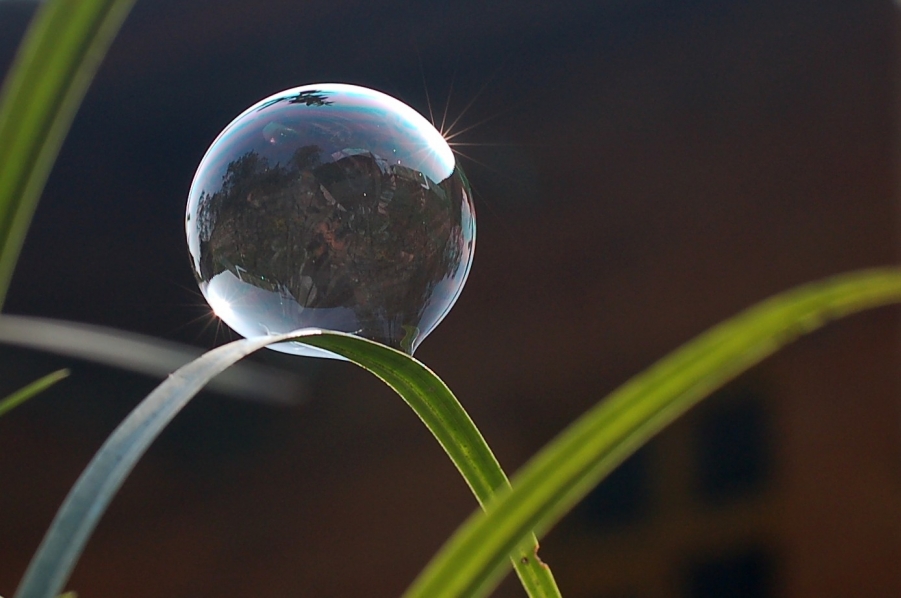 手机墙纸 (17).JPG