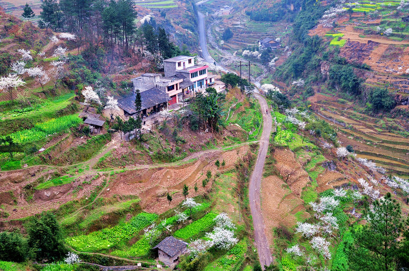 山野春早5 (2).jpg