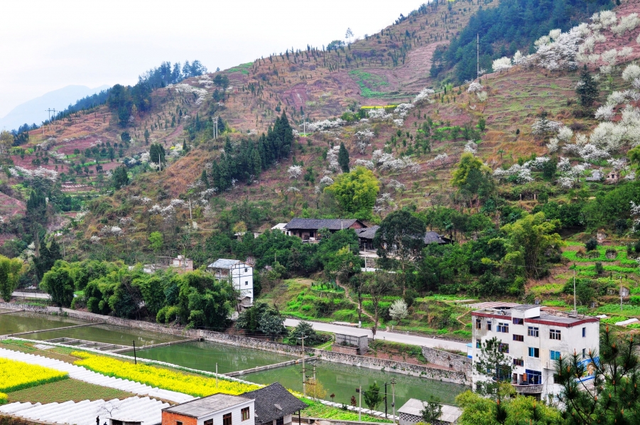 桐梓、雷山 (224).jpg