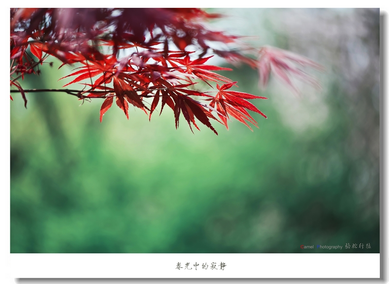 nEO_IMG_DSC_2053.jpg
