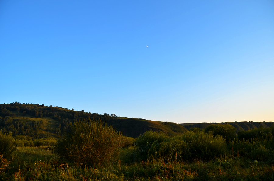 DSC_0464.jpg