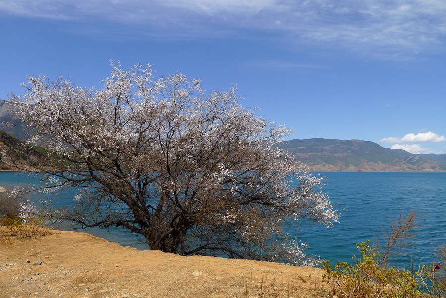 泸沽湖 (1).JPG