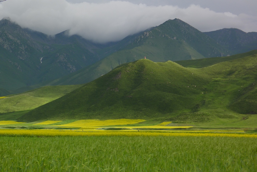 青海风光 (5).JPG