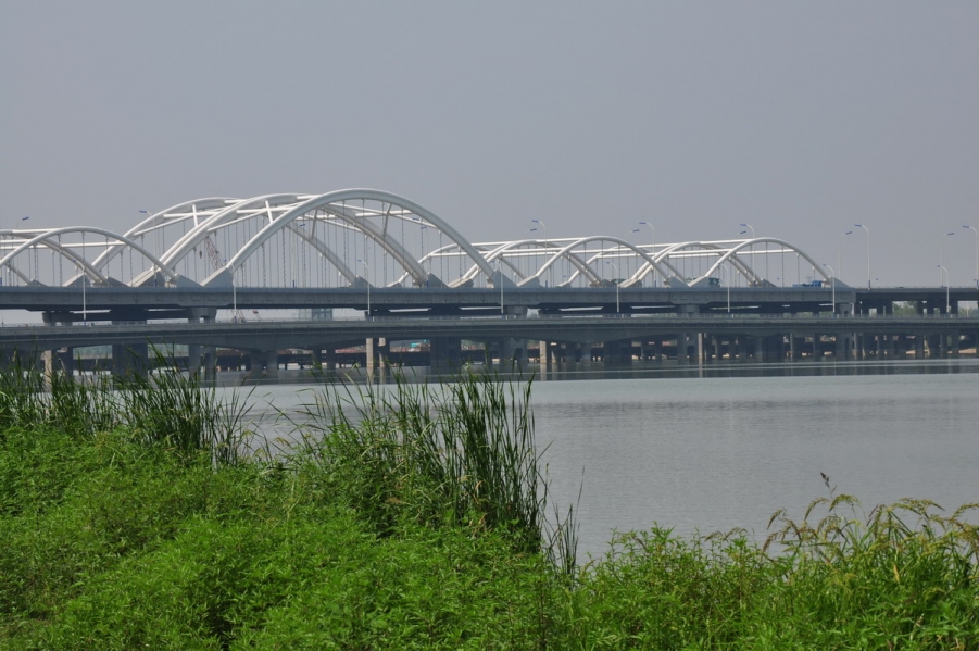 DSC_2568_8500.jpg
