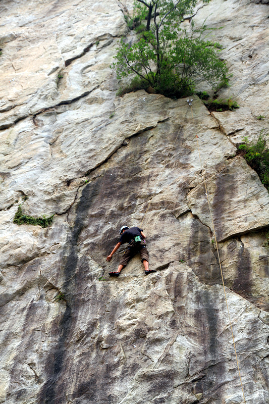 秦岭 051_副本.jpg