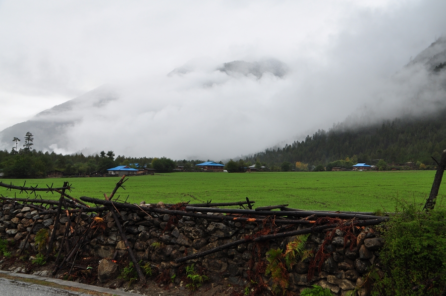 DSC_0790.jpg