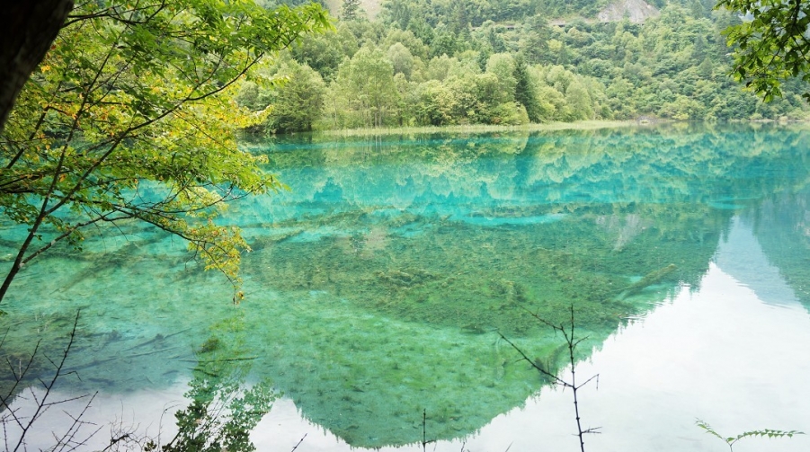 那湖底的倒影---九寨沟.jpg