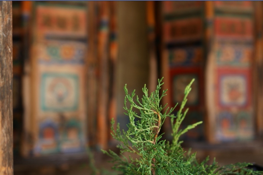 清心明智--拉卜楞寺.jpg