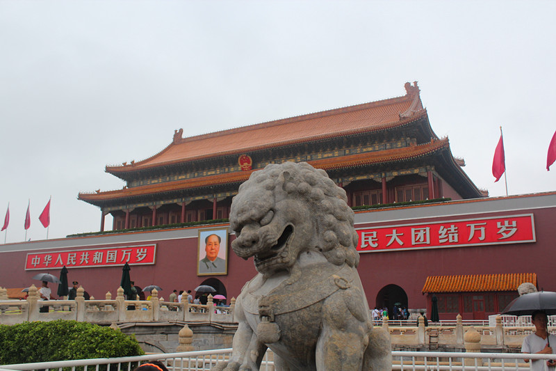 回到自己的祖国