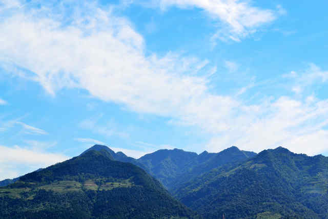 DSC_0179.jpg