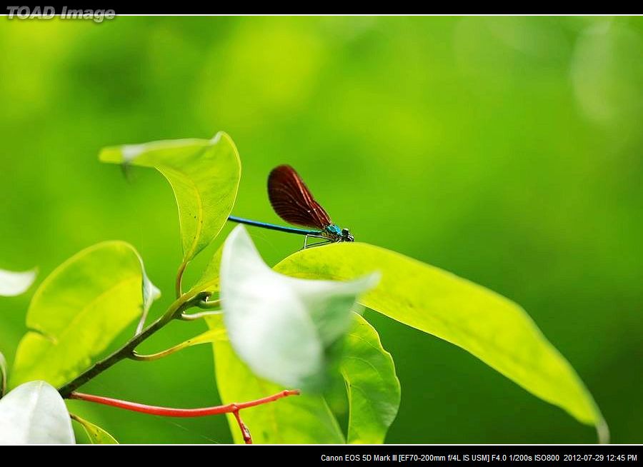 nEO_IMG_BV6A0600.jpg