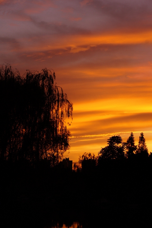 DSC00503.jpg