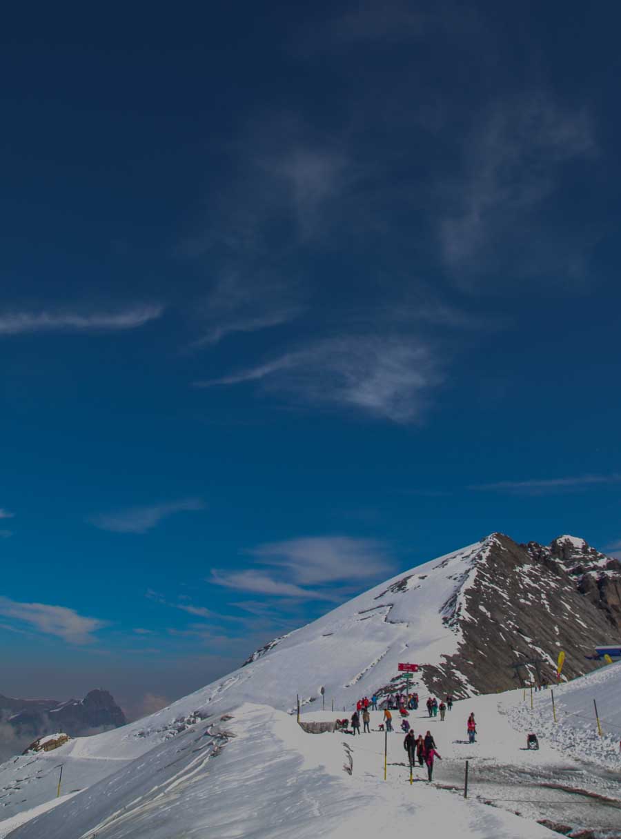 OZX 2012317.jpg