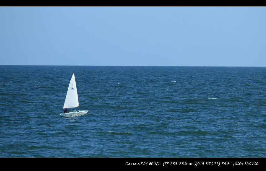 IMG_2784.jpg