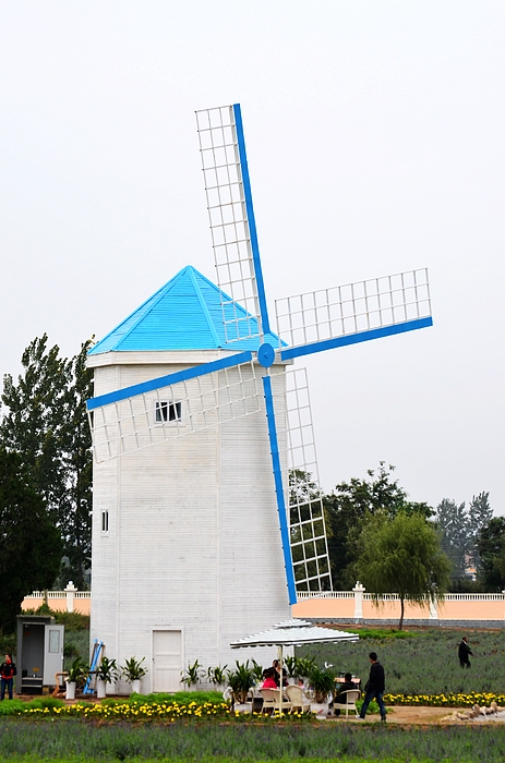 DSC_1668.jpg