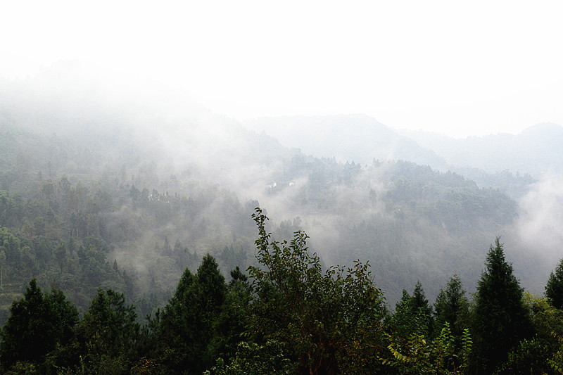 阆中 180_副本.jpg