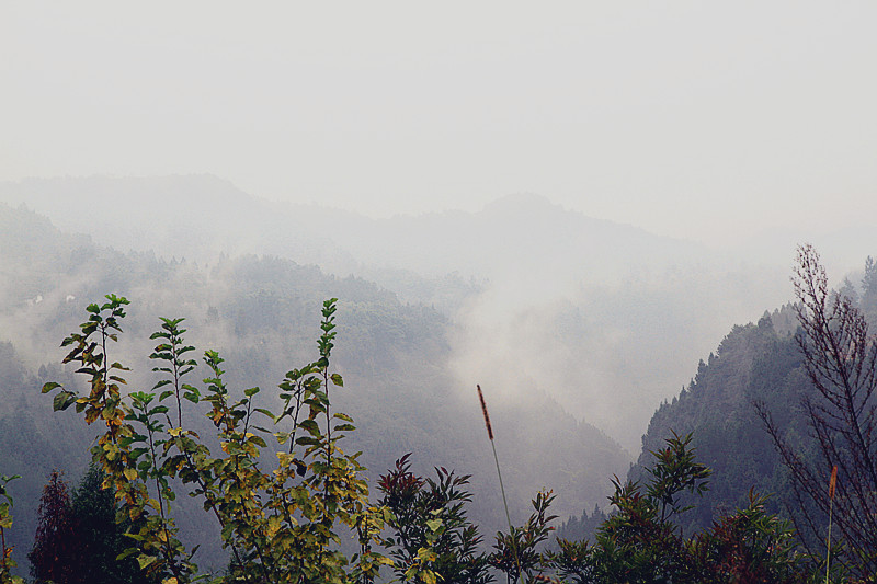 阆中 181_副本.jpg