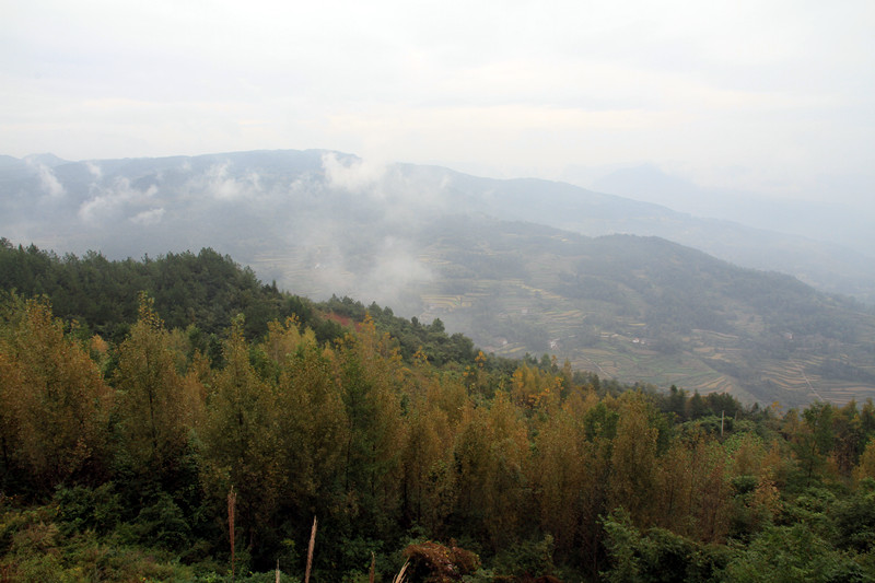 阆中 223_副本.jpg