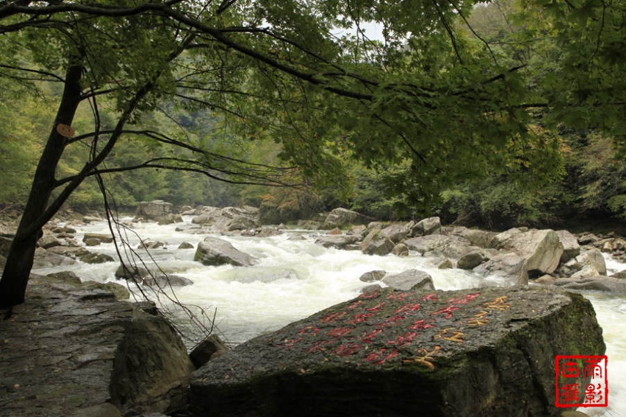 相机型号：Canon EOS 5D Mark Ⅱ