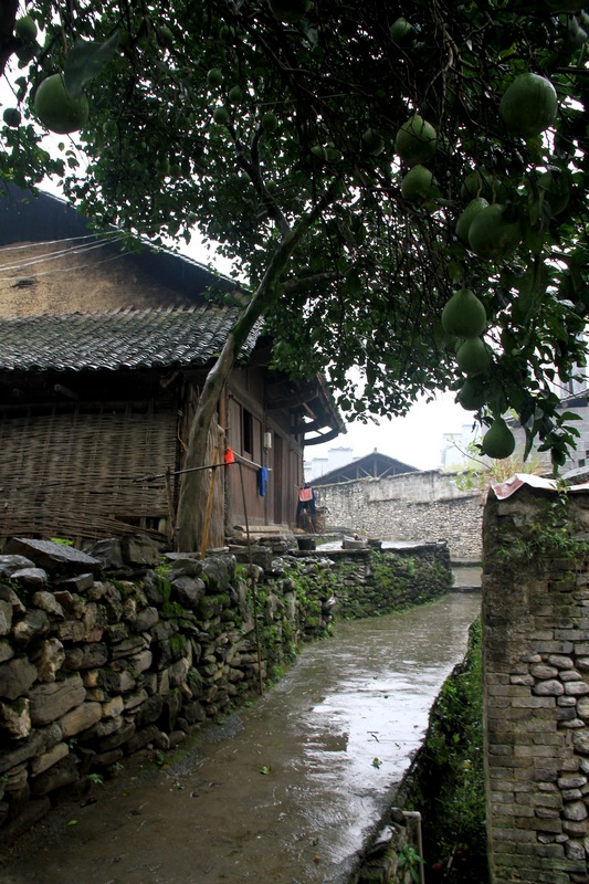 湖南长沙行 1293.jpg