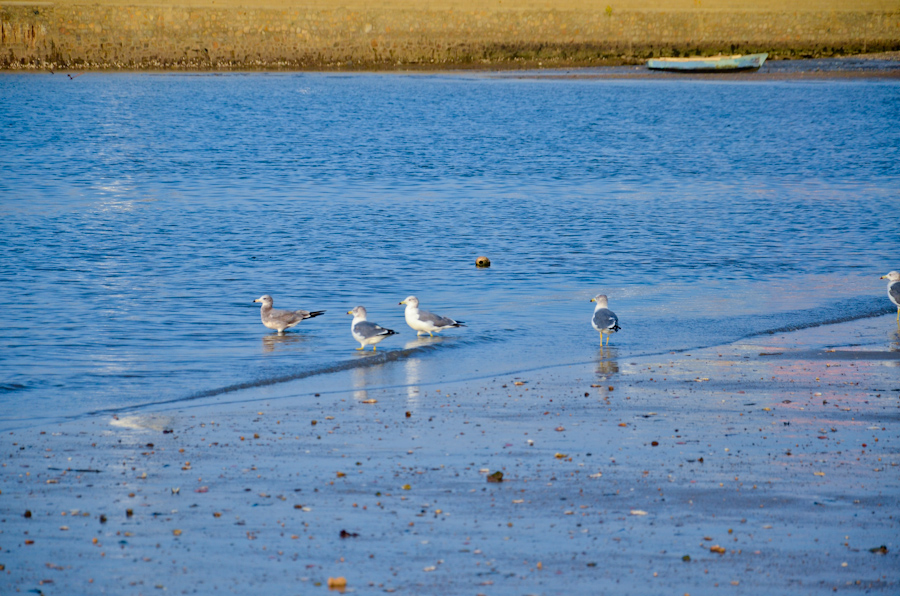 DSC_0633.jpg