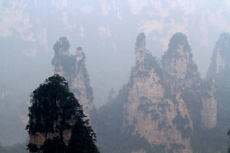 湖南长沙行 772.jpg