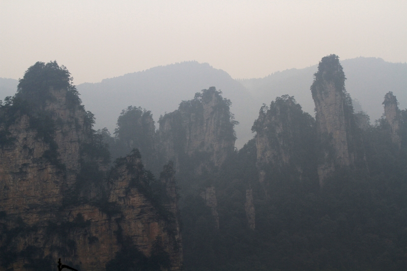 湖南长沙行 801.jpg