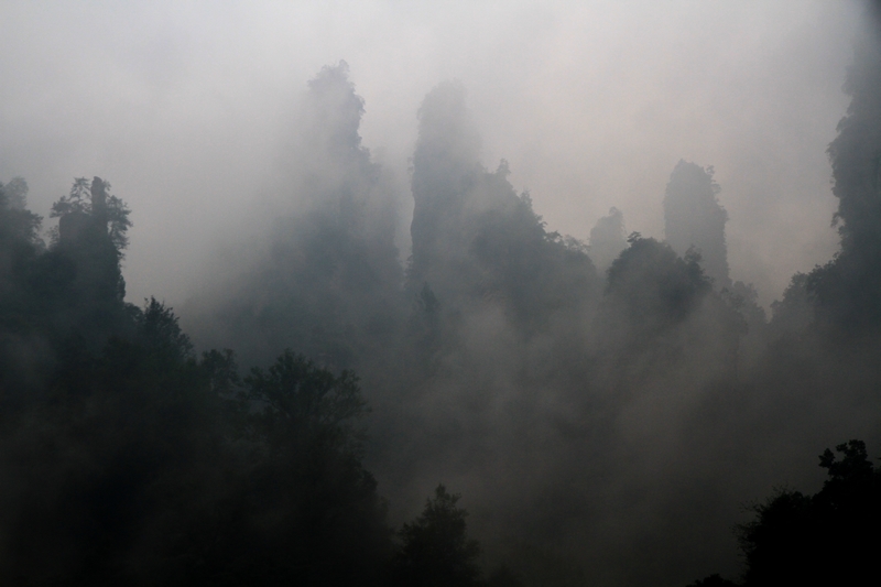 湖南长沙行 915.jpg