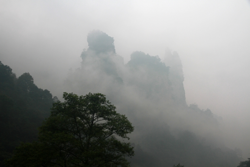 湖南长沙行 918.jpg