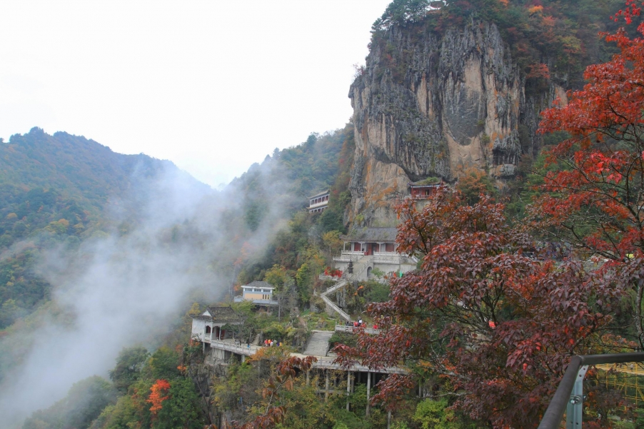 调整大小 IMG_1646g.jpg