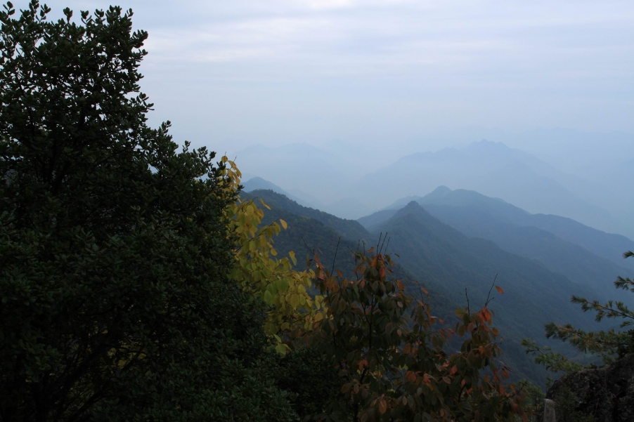 调整大小 IMG_1710.JPG