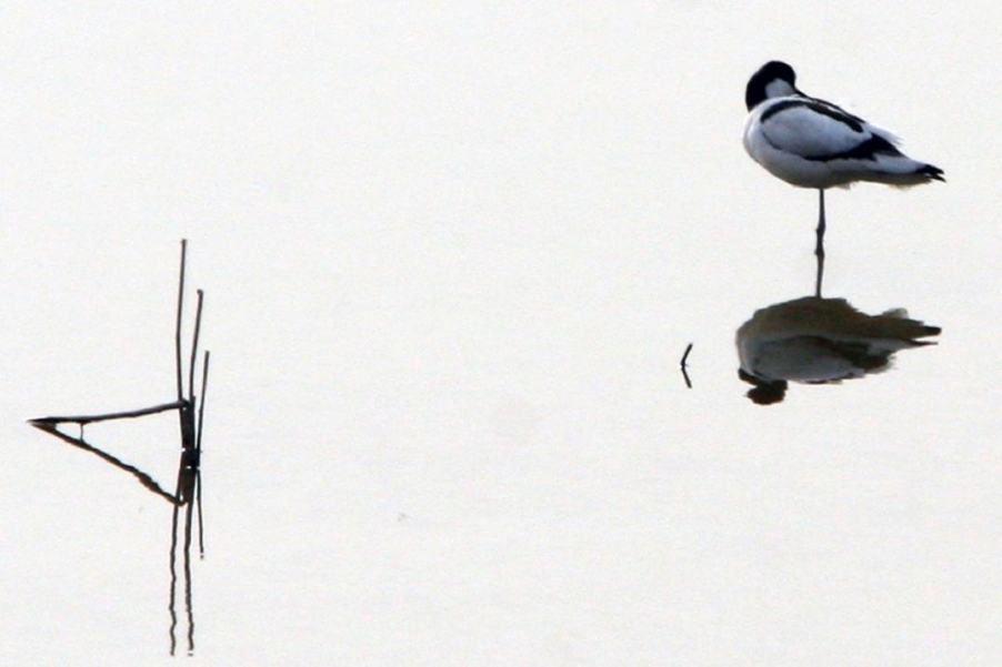 水上人家 (2).jpg