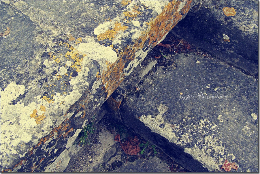 Paris 4 111_副本.jpg