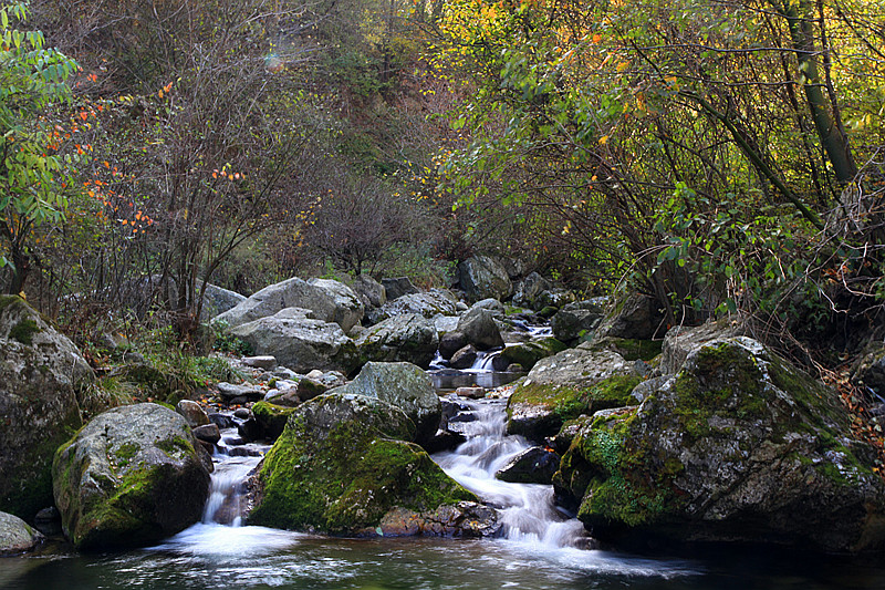 秦岭 005_副本.jpg