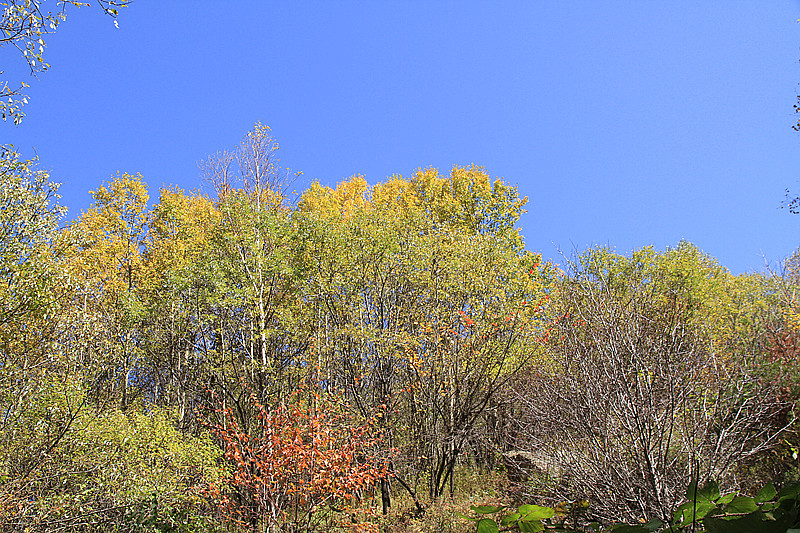 秦岭 036_副本.jpg